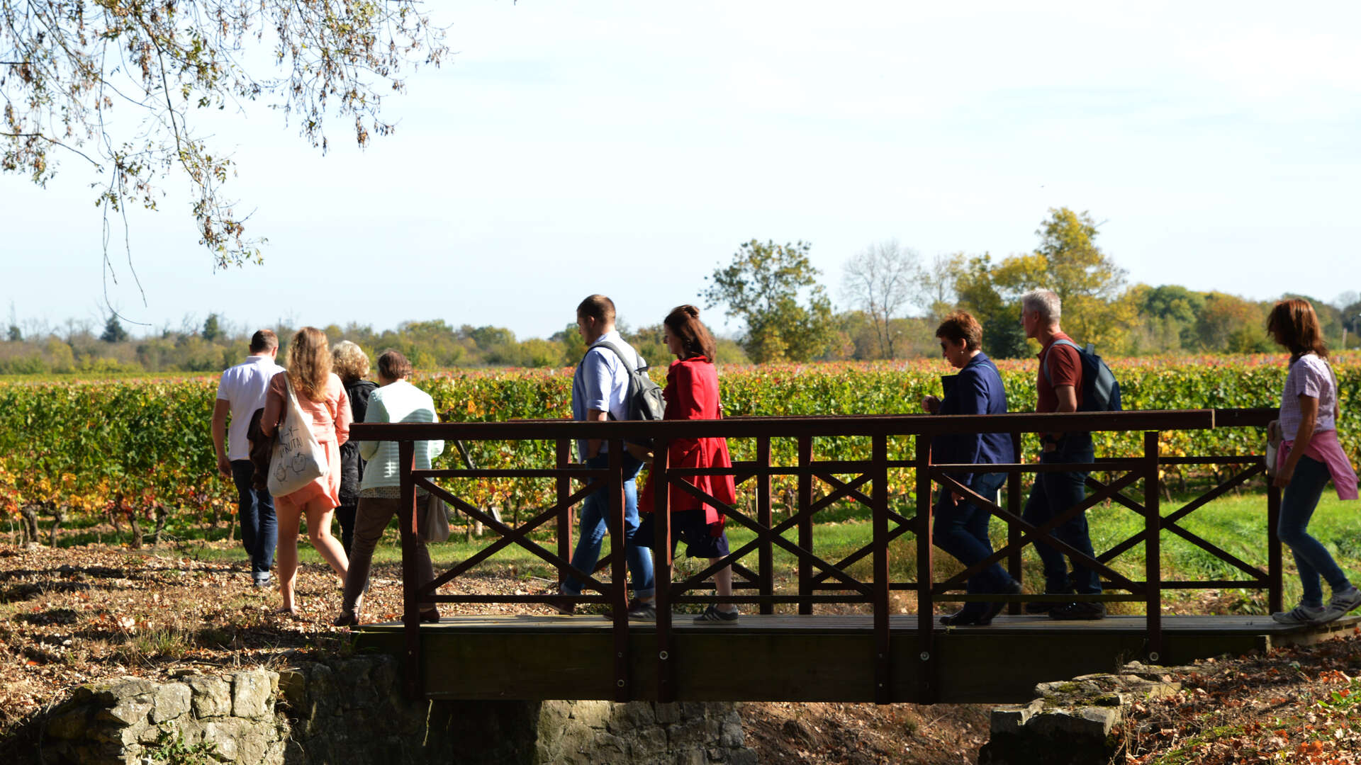 Châteaux et Terroirs©Loïc Graniczny.jpg